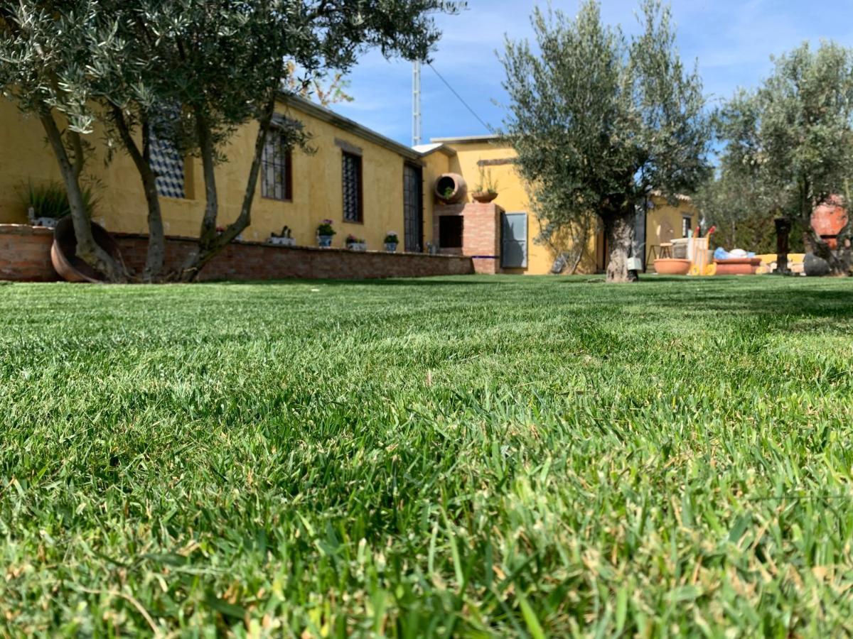 Cortijo Bustamante Pensionat Baza Exteriör bild