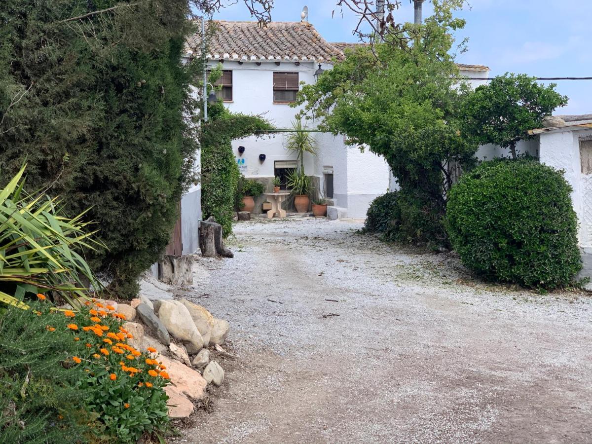 Cortijo Bustamante Pensionat Baza Exteriör bild