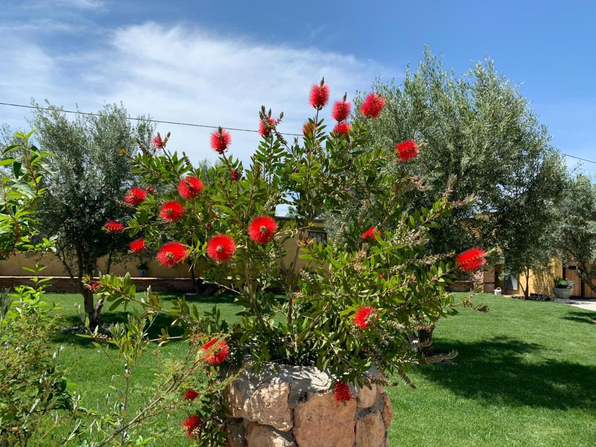 Cortijo Bustamante Pensionat Baza Exteriör bild