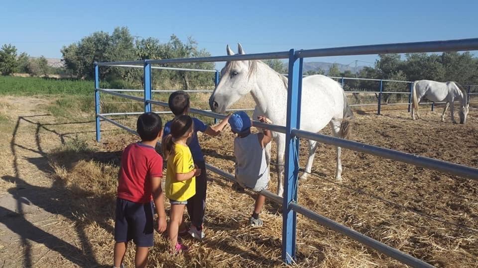 Cortijo Bustamante Pensionat Baza Exteriör bild